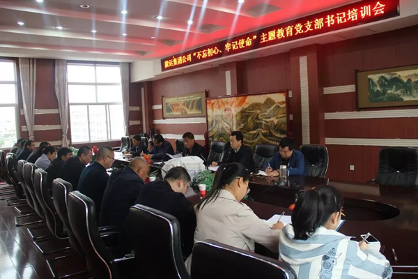隴運集團公司召開“不忘初心、牢記使命”主題教育黨支部書記培訓(xùn)會